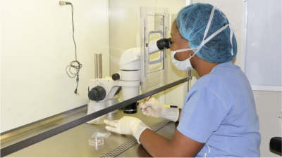 Embryology specialist working in the IVF laboratory
