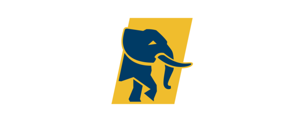FirstBank Nigeria logo